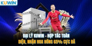 dai ly kuwin hop tac toan dien nhan hoa hong 65 cuc da