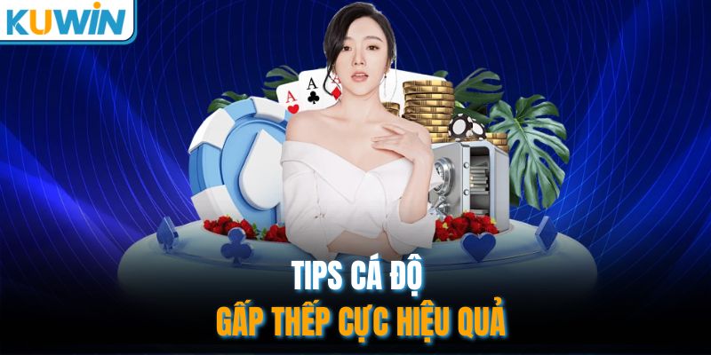 Tips cá độ gấp thếp cực hiệu quả